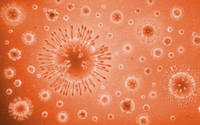 Updates and Impacts Concerning Coronavirus (COVID-19)
