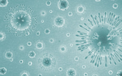 The Latest Updates and Impacts of Coronavirus (COVID-19)